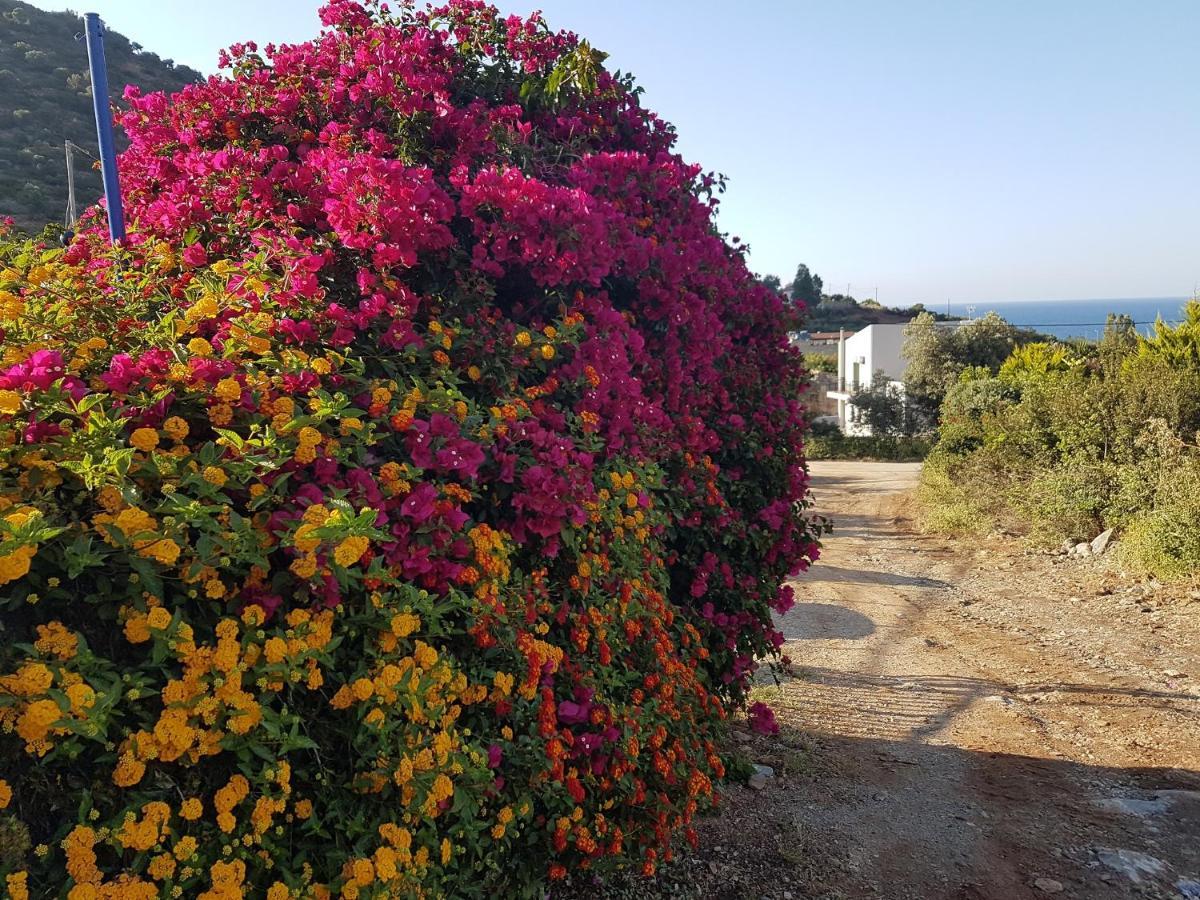 Sea Flower Villa Bali Crete Vlikhádha Екстериор снимка